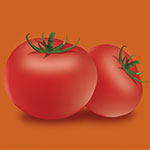 tomato-mesh-illustration